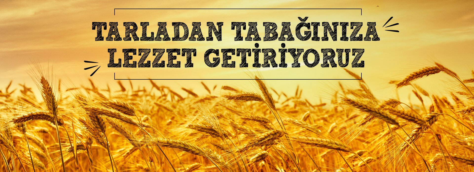 Banner Alt Etiketi